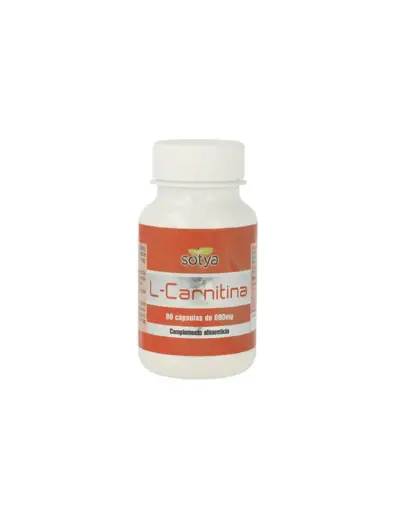 [8427483006404] L-CARNITINA 500MG CAPS. 90U (600MG 90 CAPS)